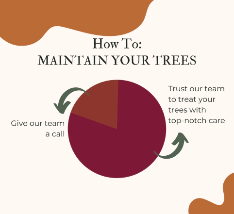 graphic how to maintain your trees carmel hamlet ny